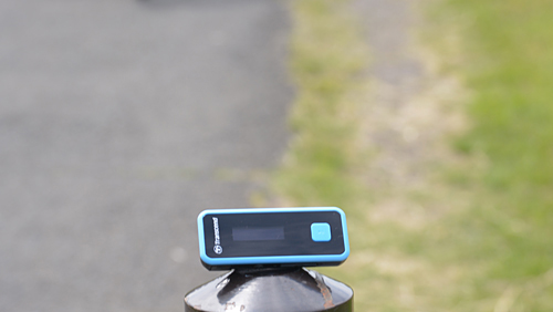 ジョギングのおともに外に連れ出した