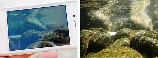 防水カメラと「FlashAir」で水中撮影を楽しもう