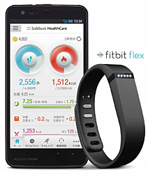 「Fitbit Flex」