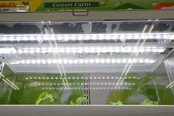 LED照明の光量は豊かで日光は不要