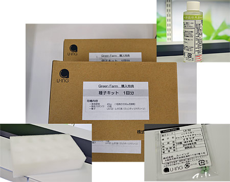 水耕栽培用液体肥料と種子、スポンジが付属する