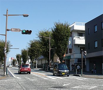 ノジマ相模原本店が店舗を構えている相模原立川線