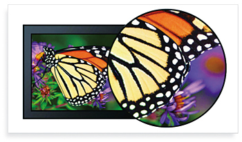 AH-IPS方式ディスプレイが高精細の画像を表示