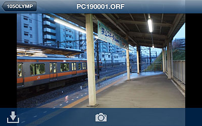 拡張子「.ORF」はオリンパスのRAW画像