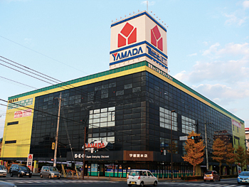 ロードサイドには大手家電量販店が大型店を出店