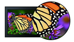 AH-IPSパネルが美しい映像を表示する