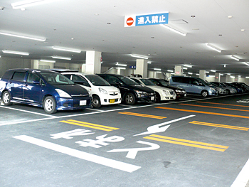 約220台収容の駐車場を完備し、クルマでも来店できる