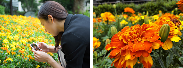 メインカメラは4cmマクロ撮影に対応