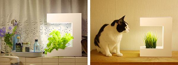 「COCO OMA14」の使用イメージ