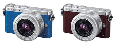 LUMIX DMC-GM1SK
