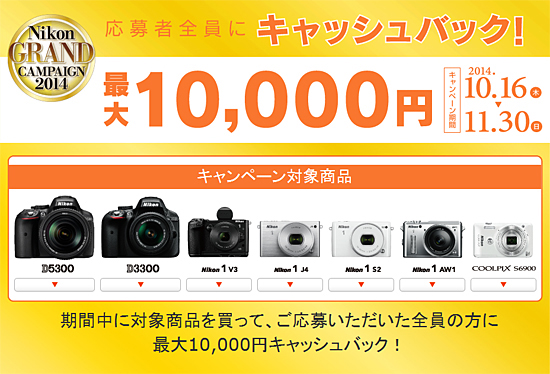 キャンペーンサイトの画面イメージ