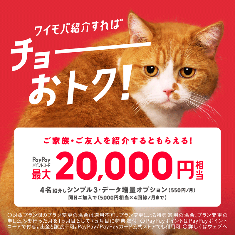 ワイモバ　紹介キャンペーン