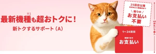 ワイモバイル新トクするサポート(A)