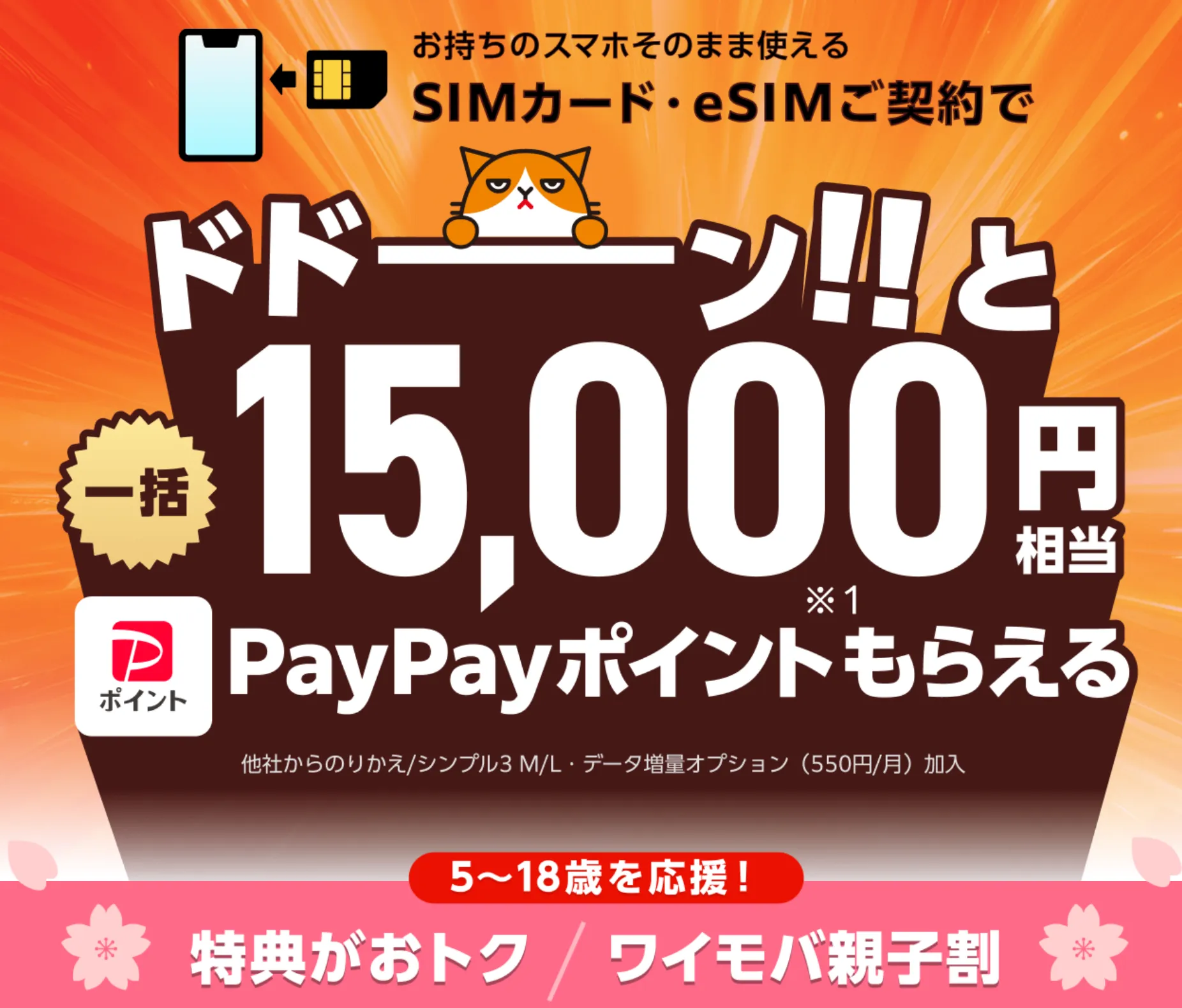 ワイモバイルのキャンペーンを全解説!乗り換え・新規契約やMNPのお得な情報 ワイモバイルSIMご契約特典