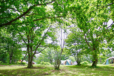 1000人に聞いた キャンプの初期費用は おうちキャンプも人気 n R 1000人に聞いた キャンプの初期費用は おうちキャンプも人気 n R