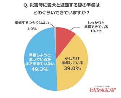 今こそ考えたい 災害時の愛犬との避難 できていない が5割 n R 今こそ考えたい 災害時の愛犬との避難 できていない が5割 n R