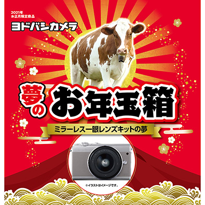 ヨドバシカメラ「 福袋 2020 ipadの夢10インチ」福箱