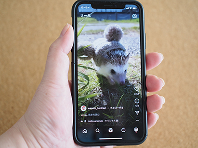 インスタの リール 機能って何 今さら聞けない使い方やテクニックを紹介 n R インスタの リール 機能って何 今さら聞けない使い方やテクニックを紹介 n R