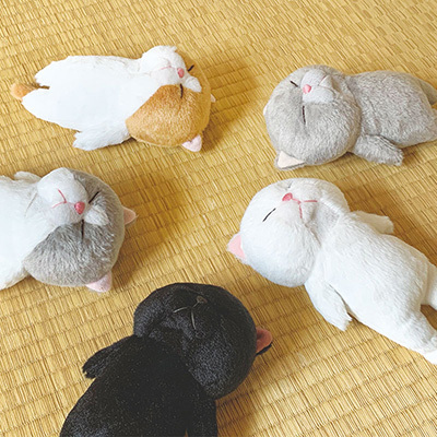 無防備な姿に癒される ぼうねこ のぬいぐるみ n R 無防備な姿に癒される ぼうねこ のぬいぐるみ n R