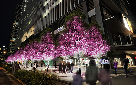 秋葉原に Led桜並木 が出現 桜イルミネーションのイベント開催 n R 秋葉原に Led桜並木 が出現 桜イルミネーションのイベント開催 n R